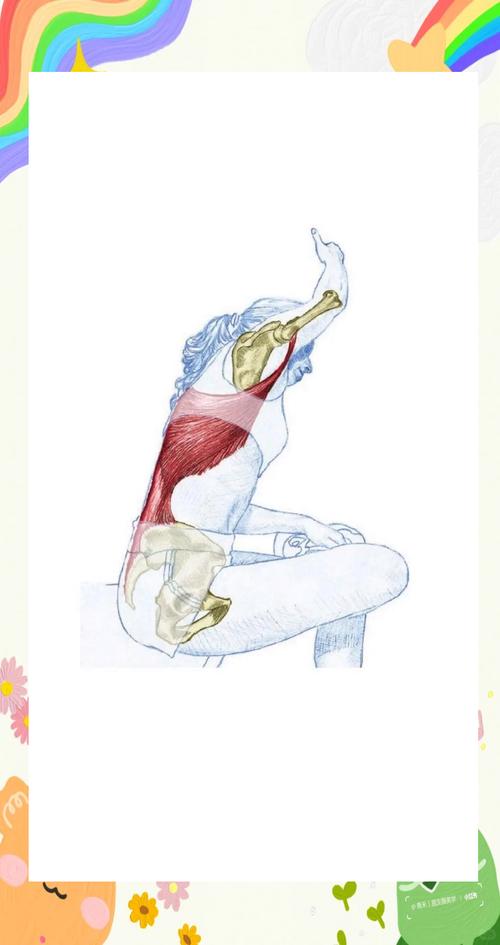 办公室拉伸术（办公室肌肉拉伸动作）