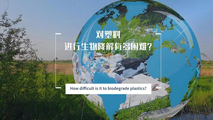 塑料降解真相（塑料降解最新技术）