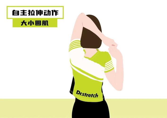 办公室拉伸术（办公室坐姿拉伸）