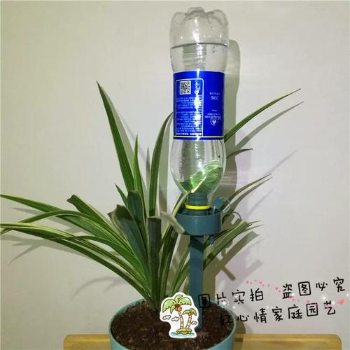 节水浇花装置（节水浇水）