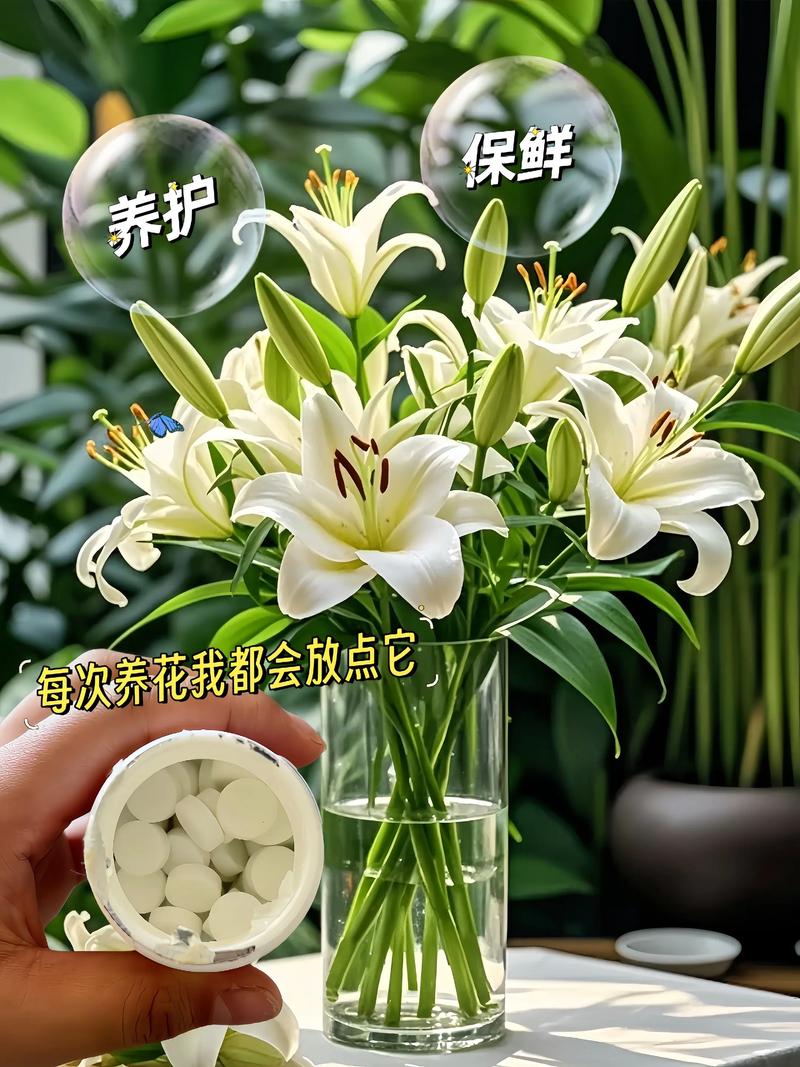 鲜花保鲜剂对比（鲜花保鲜剂是什么原理）