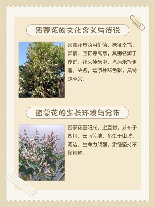 鲜花保鲜剂对比（鲜花保鲜剂是什么原理）