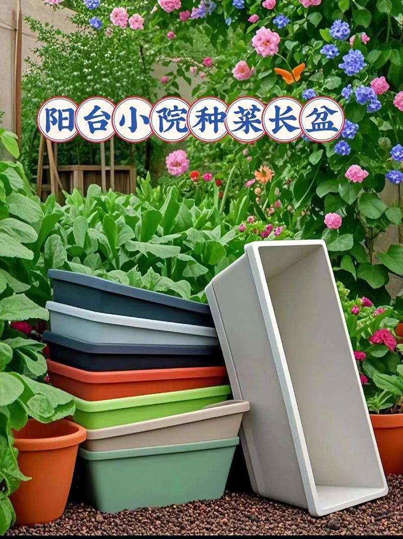 阳台菜园轮作模型（阳台菜园轮作模型怎么做）