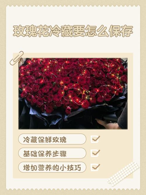 鲜花保鲜实验（鲜花保鲜手段的研究）