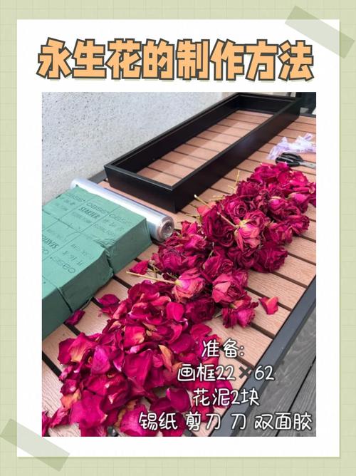 鲜花保鲜实验（鲜花保鲜手段的研究）