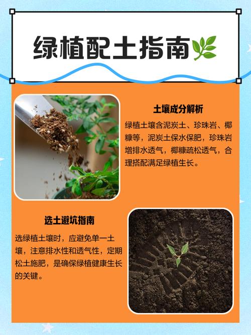 盆栽土壤配比（盆栽植物土壤配比）
