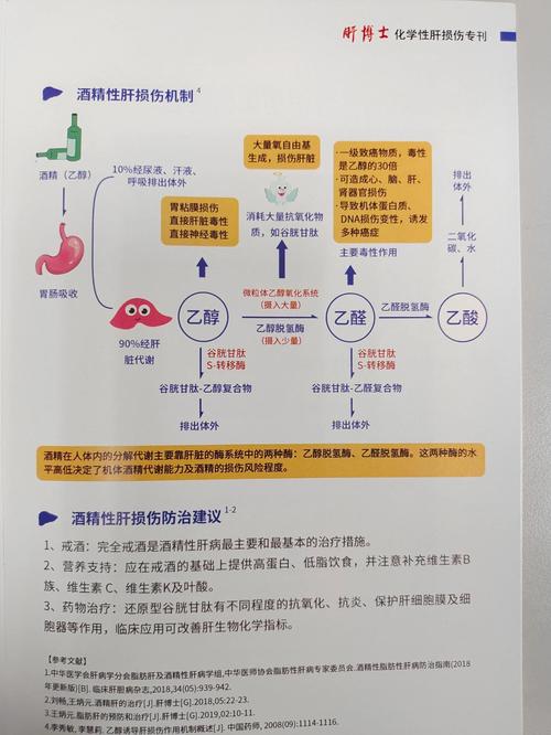 解酒原理揭秘（解酒原理揭秘视频）