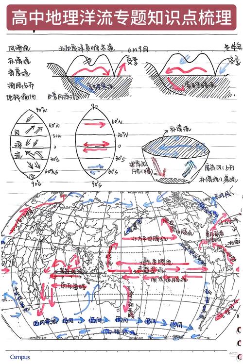 世界四大洋地理特征与资源（地理四大洋地图速记）