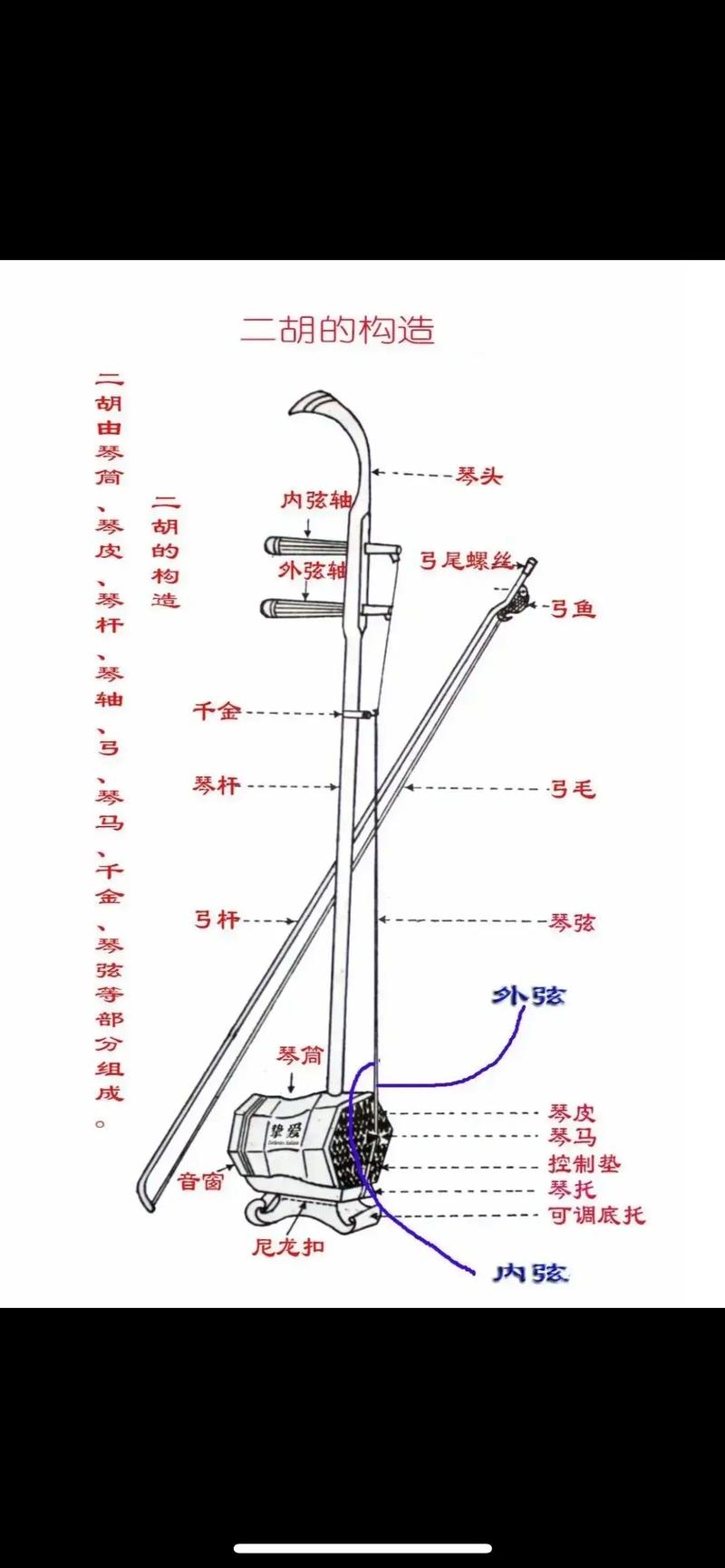 二胡入门指法与曲目练习（二胡初学入门指法表）