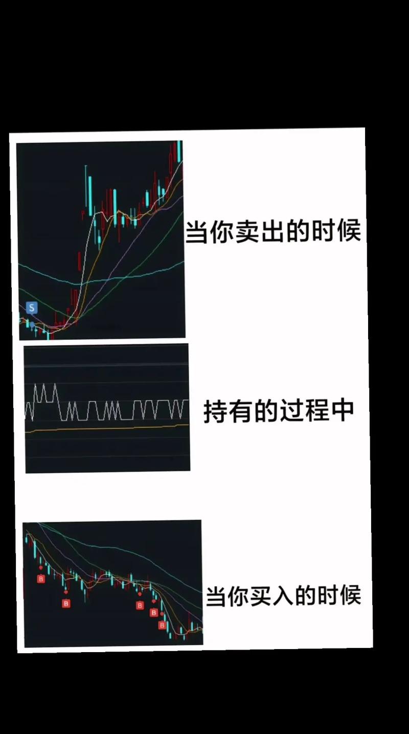 股票投资基础知识与风险（股票投资基础知识与风险的关系）