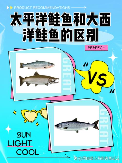 常见鱼类洄游规律与原因(鱼类洄游有什么生物学意义)