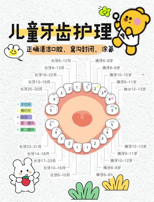 儿童换牙期口腔护理常识（小孩换牙护理）