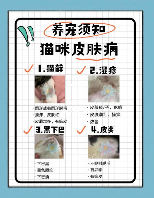 常见皮肤病预防与护理（常见皮肤病防治）